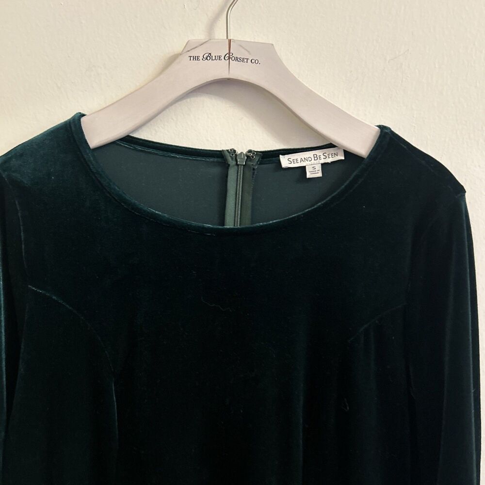 See and Be Seen Green Velvet Dress Small Long Sleeve Flounce Hem - Picture 3 of 7